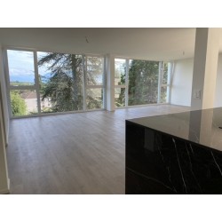 Appartement 3.5 pièces à louer à 1024 Écublens