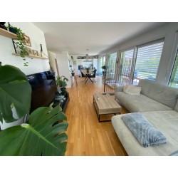 "Très bel appartement de 3.5 pces avec terrasse et jardin / Romont/FR"