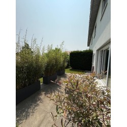 Charmant 2 pièces avec terrasse à Gimel