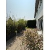 Charmant 2 pièces avec terrasse à Gimel