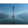 Fonds de commerce à vendre + sandwicherie de renom à Vevey